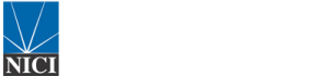NICI - National Insurance Consultants, Inc.